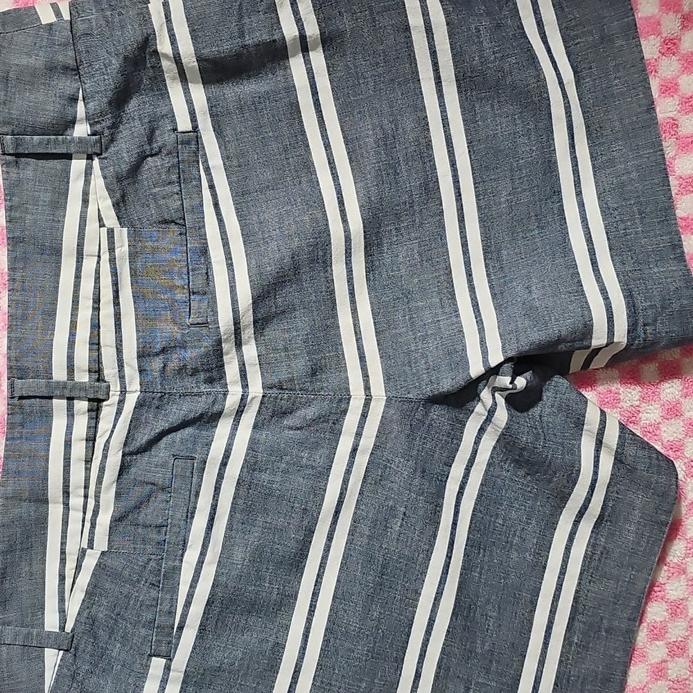 Loft Stylish Blue Striped Women's Shorts - Picture 3 of 4
